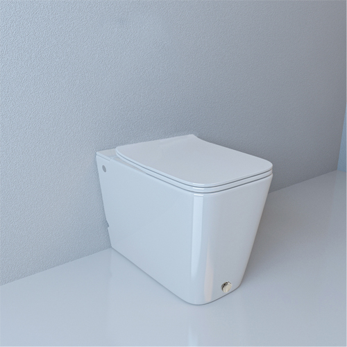 Унитаз приставной импульсный Ceruttispa Disgrazia Pulse CT7269 безободковый