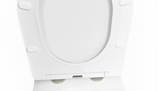 Сиденье для унитаза Ceruttispa ADIGE, ADIGE Aria,TICINO Aria дюропласт с микролифтом и креплениями