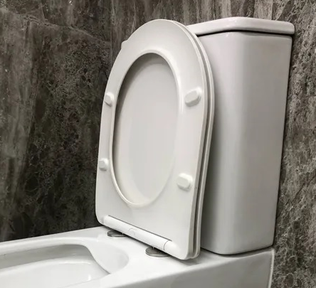 Сиденье для унитаза Ceruttispa ADIGE, ADIGE Aria,TICINO Aria дюропласт с микролифтом и креплениями