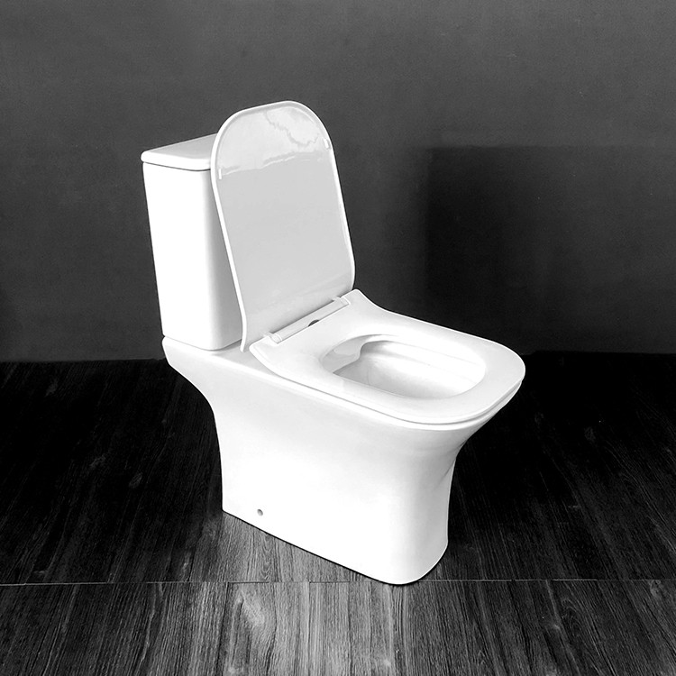 Унитаз компакт Cerutti SPA VETTORE CT7192 безободковый с микролифтом и быстросъемным сиденьем