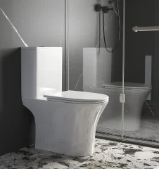 Унитаз компакт Ceruttispa BERNINA Tornado 11133 безободковый с микролифтом и быстросъемным сиденьем