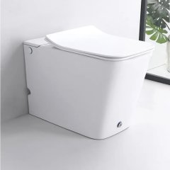 Унитаз приставной импульсный Ceruttispa Disgrazia Pulse CT7269 безободковый